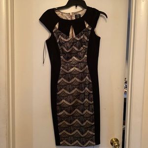 Size 6 fitted knee length dress with Zipper back